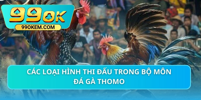 Các loại hình thi đấu trong bộ môn đá gà Thomo