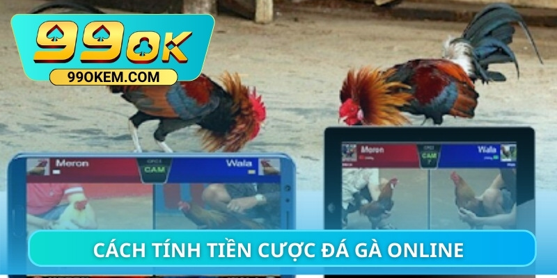 Tất tần tật cách tính tiền cược đá gà online