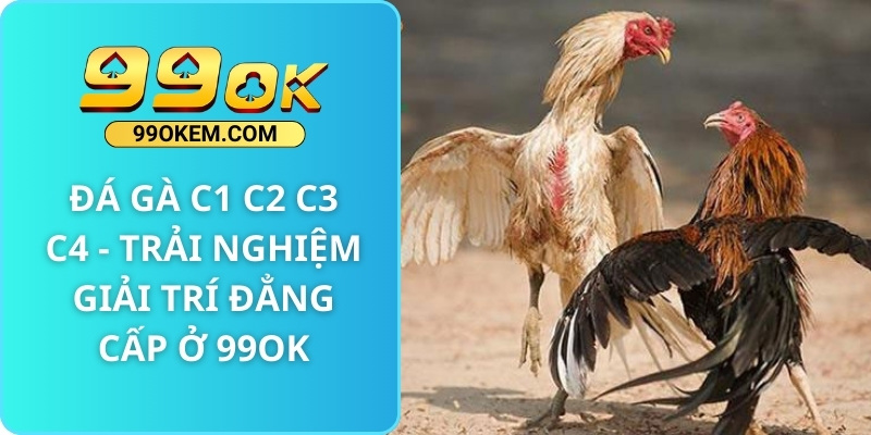 Đá Gà C1 C2 C3 C4 - Trải Nghiệm Giải Trí Đẳng Cấp Ở 99ok