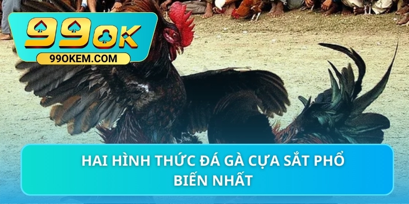 Hai hình thức đá gà cựa sắt phổ biến nhất