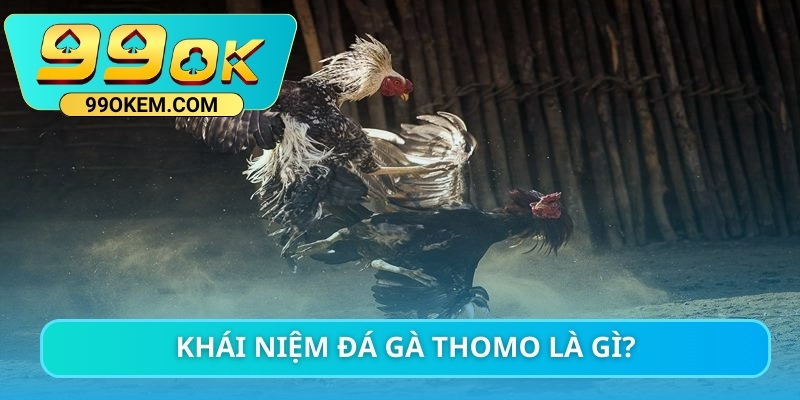 Khái niệm đá gà Thomo là gì?