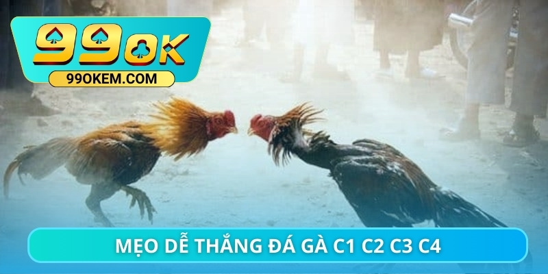 Mẹo dễ thắng đá gà C1 C2 C3 C4