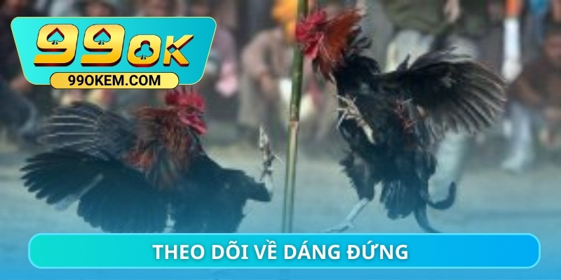 theo dõi về dáng đứng