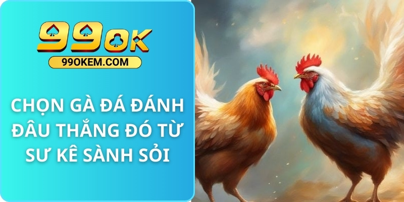 Chọn gà đá đánh đâu thắng đó từ sư kê sành sỏi