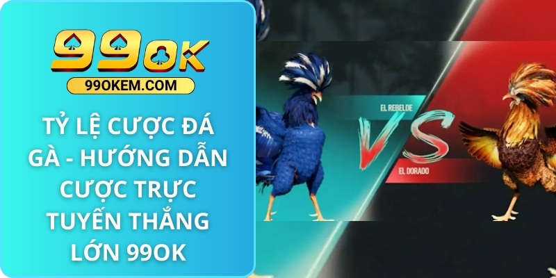 Tỷ Lệ Cược Đá Gà - Hướng dẫn cược trực tuyến thắng lớn 99ok