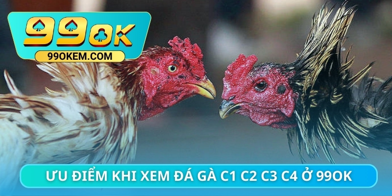 Ưu điểm khi xem đá gà C1 C2 C3 C4 ở 99ok